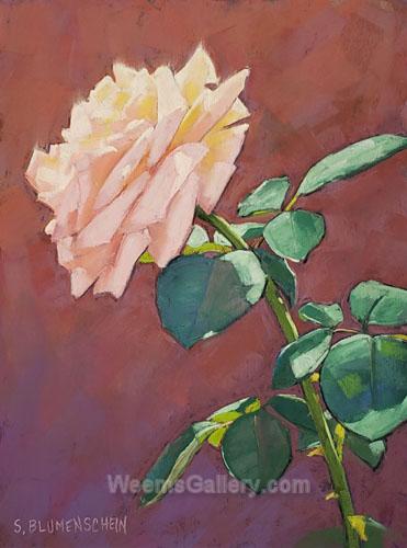 Rose Glow #1 by Sarah Blumenschein